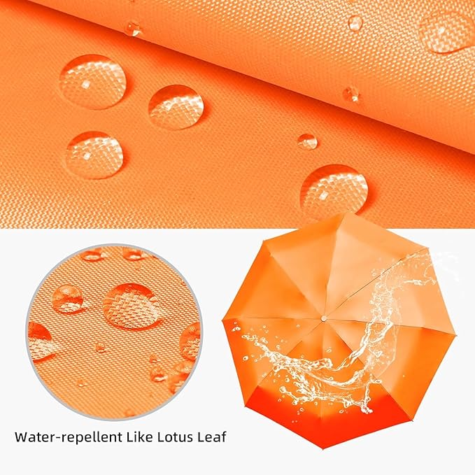 Mini Umbrella with Case